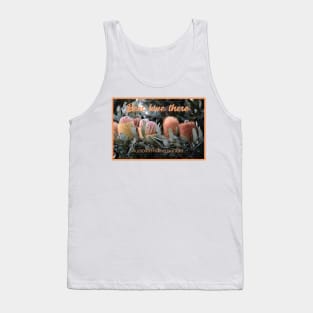 Beautiful Banksia Blossoms Tank Top